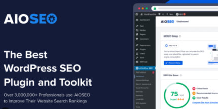 All in One SEO Pack Pro v4.6.2 + Updated Addons