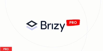 Brizy Pro v2.4.38