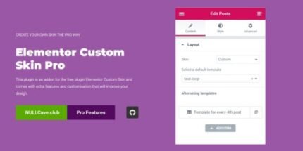 Elementor Custom Skin Pro v3.2.4