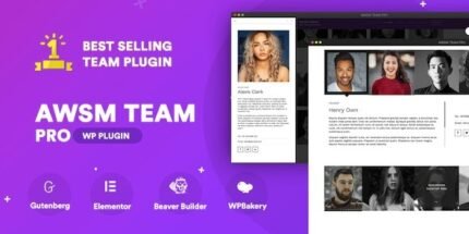 The Team Pro v1.11.2 Team Showcase WordPress Plugin