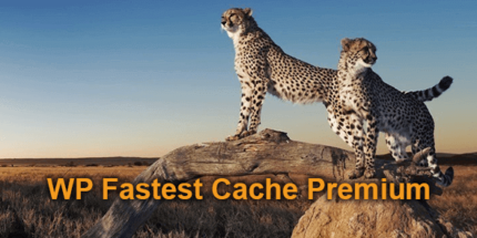 WP Fastest Cache Premium v1.7.0