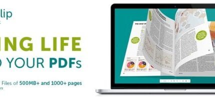 N dFlip PDF FlipBook v1.7.6.2 WordPress Plugin