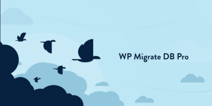 WP Migrate DB Pro v2.6.13 + Addons